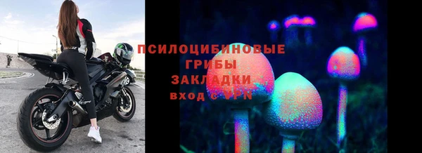 соль курить ск Козловка