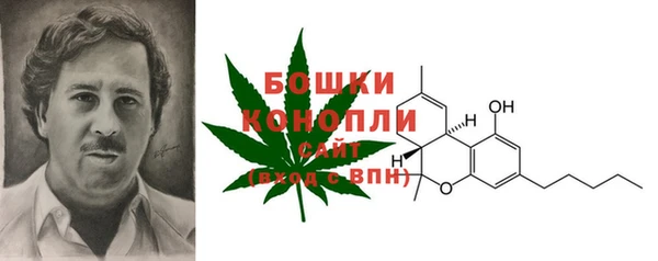 ECSTASY Кодинск